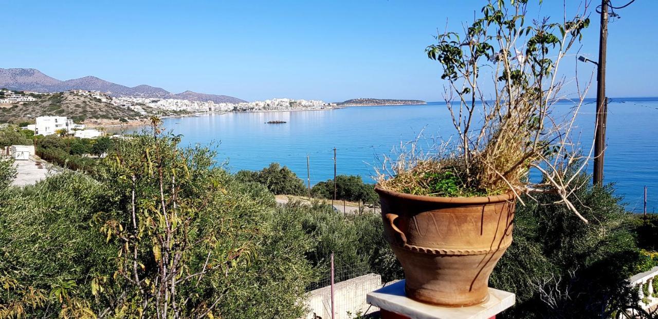 Allas, Guest Art * Agios Nikolaos